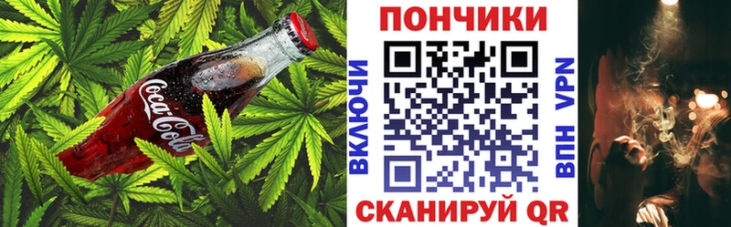 где купить наркотик  Алзамай  Еда ТГК конопля 
