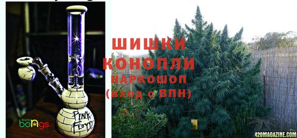 каннабис Алзамай