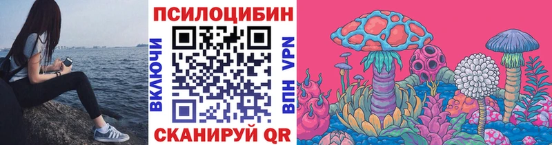 Псилоцибиновые грибы Psilocybine cubensis наркошоп Алзамай